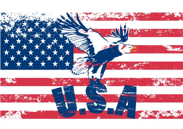 Adler mit USA in Grunge-Illustration — Stockvektor
