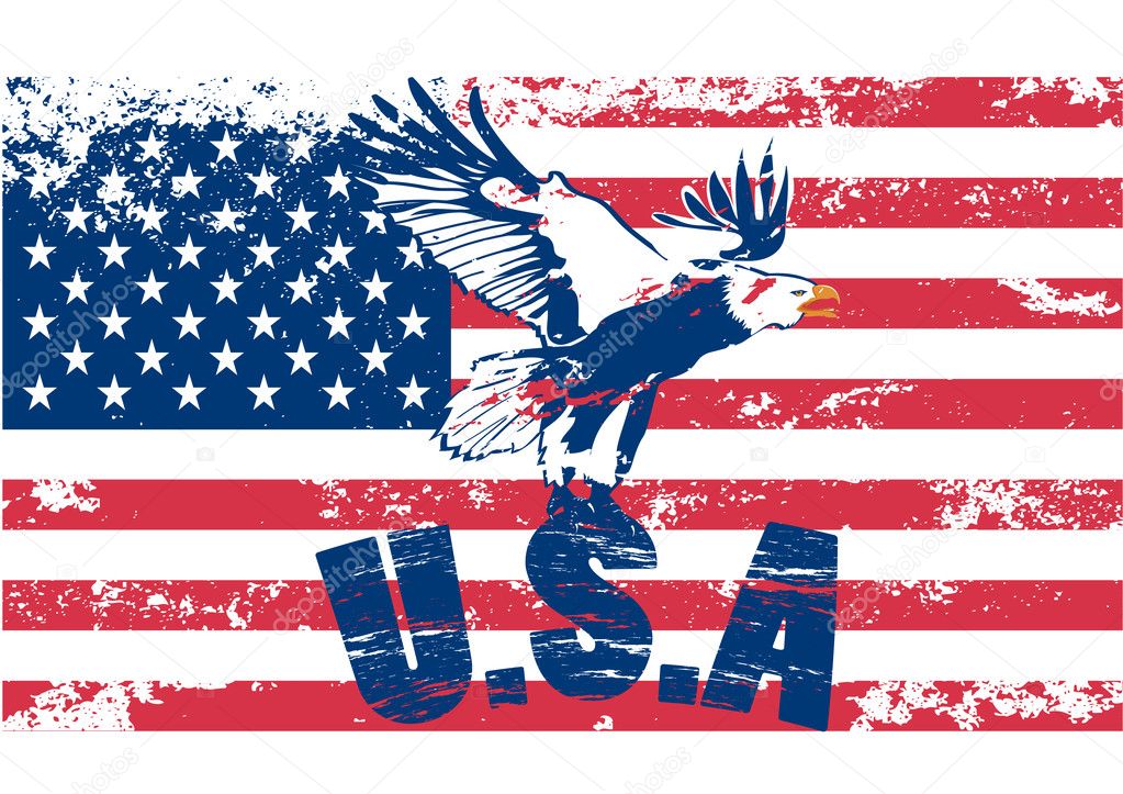 Eagle with usa in grunge illustration