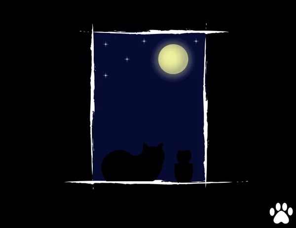 Katze in der Nacht sucht — Stockvektor
