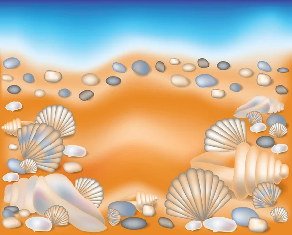Cartão de verão, concha do mar na areia. ilustração vetorial — Vetor de Stock