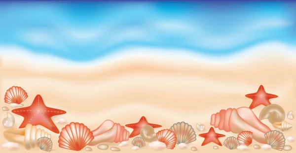 Letní banner na písku s mušlemi a starfishes — Stockový vektor