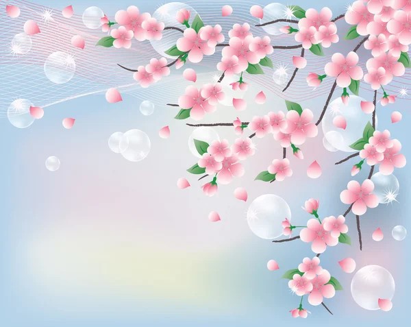 Cartão de primavera com sakura. ilustração vetorial — Vetor de Stock