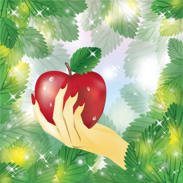 Hermosa mano femenina sosteniendo manzana .vector ilustración — Vector de stock