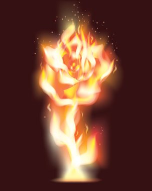 Beautiful Rose flower from fire, vector illustration clipart