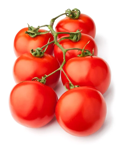 Tomaten-Traube — Stockfoto
