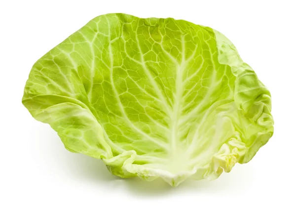 Cabbage leaf — Stock Photo, Image