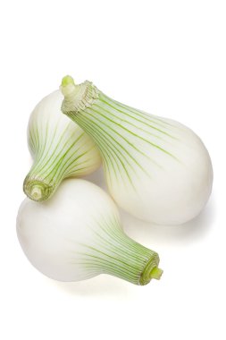 beyaz soğan izole