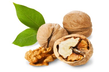 Walnuts clipart