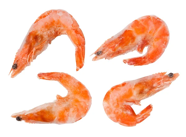 Frozen shrimps — Stock Photo, Image