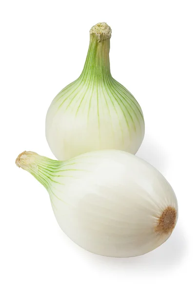 White onions isolated — Zdjęcie stockowe