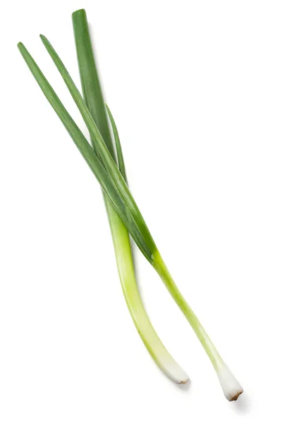 Frische grüne Zwiebeln isoliert auf weiß — Stockfoto