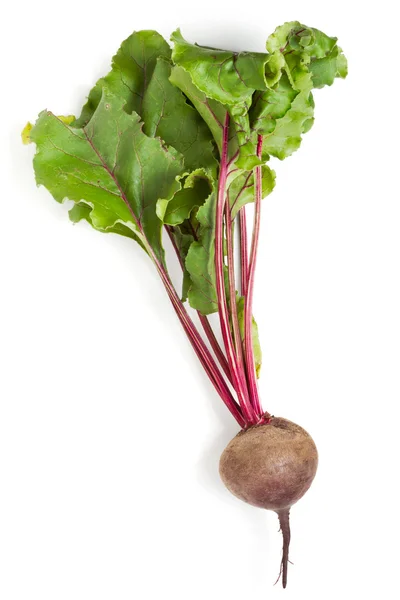 stock image Fresh beet root isolated on white background