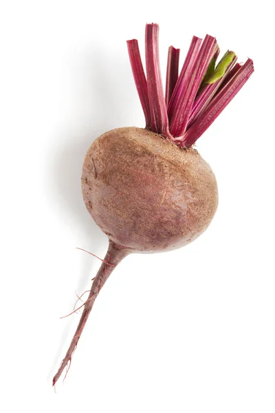 Fresh beet root isolated on white background — Stock Photo, Image