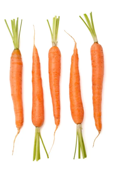 Zanahorias —  Fotos de Stock