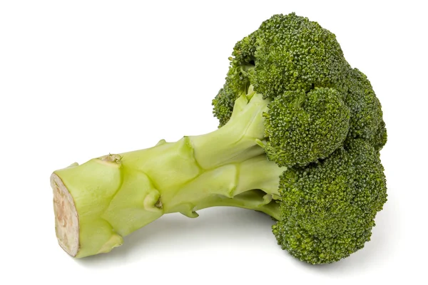 stock image Broccoli cabbage