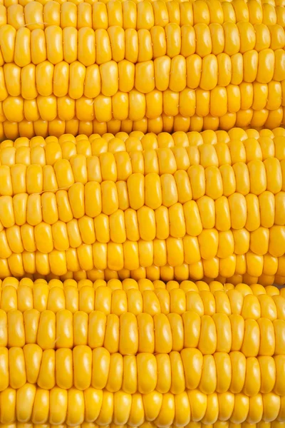 Mais als Hintergrund — Stockfoto