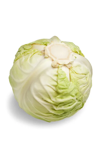 Stock image Single green cabbage isolated on the white