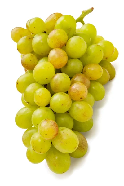 Um bando de uvas — Fotografia de Stock
