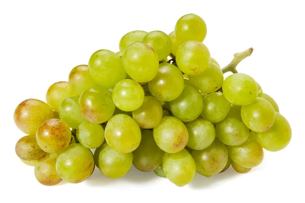 Csomó-ból szőlő — Stock Fotó