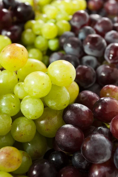 Kiść winogron — Zdjęcie stockowe