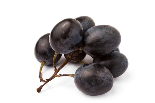Ramo de uva —  Fotos de Stock