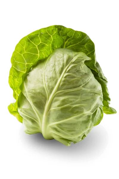 stock image Cabbage against white background