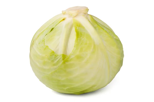 Single cabbage — Stock Photo, Image