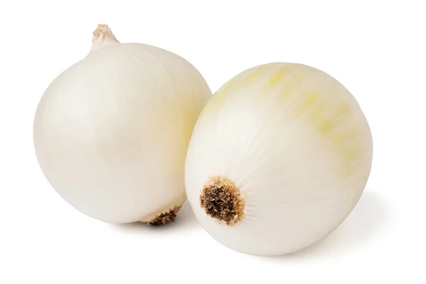 Dos cebollas blancas — Foto de Stock