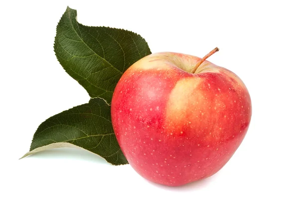 stock image Single red apple