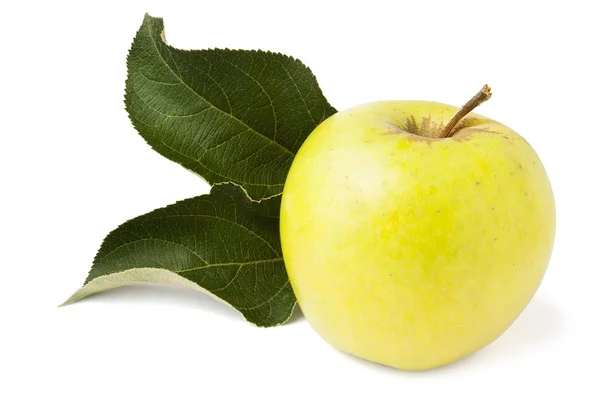 Einzelner gelber Apfel — Stockfoto