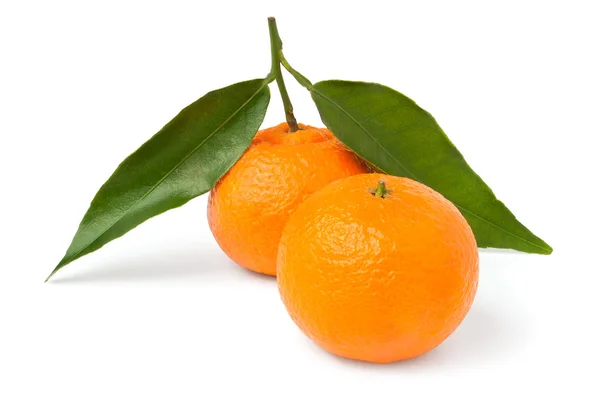 Two tangerines — Stock Photo, Image