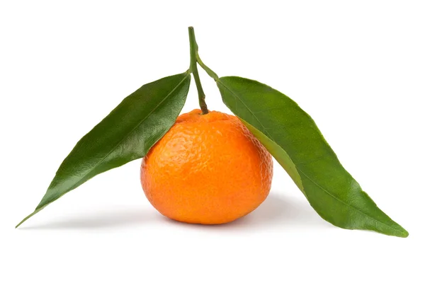 Tangerine med blad — Stockfoto