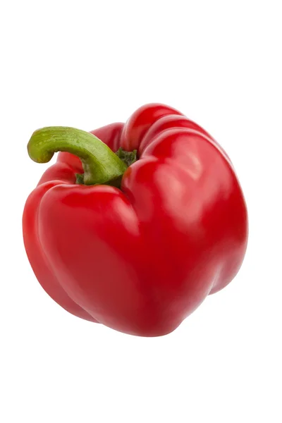 Singolo peperone rosso — Foto Stock
