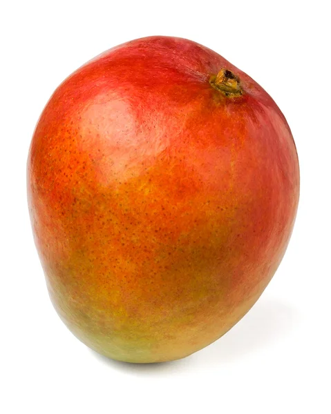 Tam mango — Stok fotoğraf