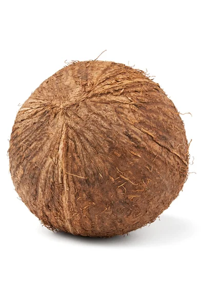 单个椰子 — 图库照片