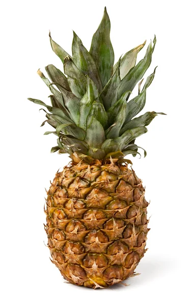 Enda ananas — Stockfoto