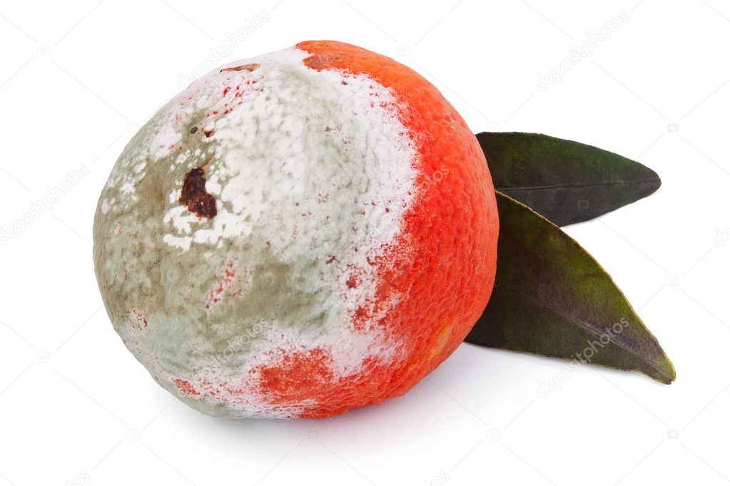 Rotten tangerine