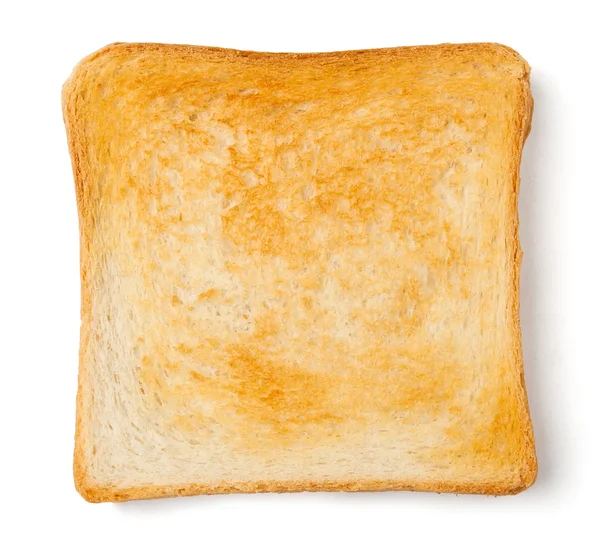 Jeden toast — Stock fotografie