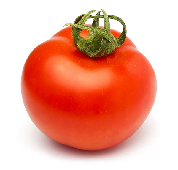 stock image Single tomato