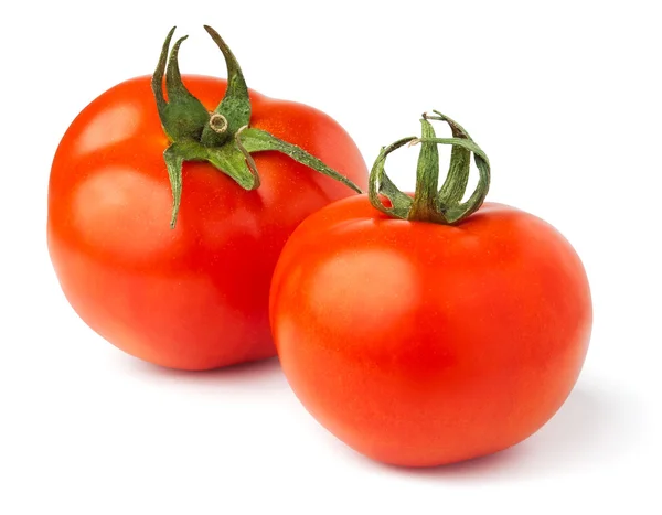 Dois tomates — Fotografia de Stock