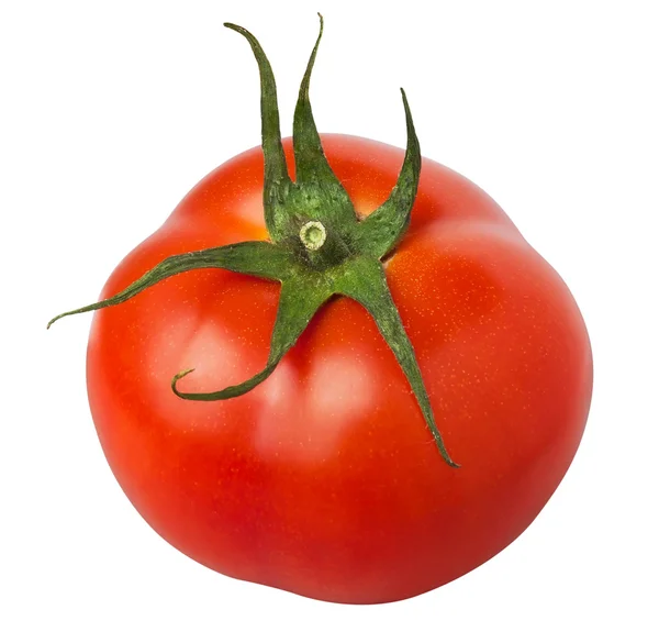 Одномісний томатний — стокове фото