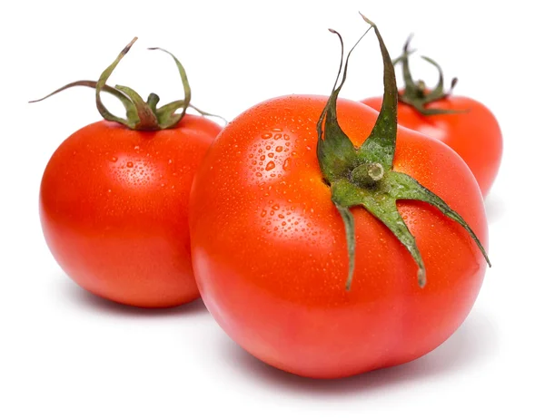 Tre pomodori — Foto Stock
