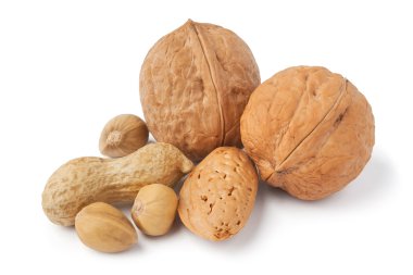 Mixed nuts clipart