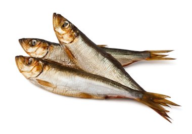 Three sprats clipart