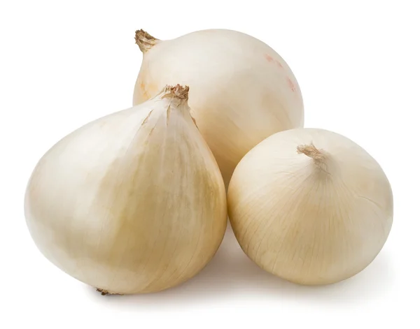 Trzy białe cebule — Zdjęcie stockowe