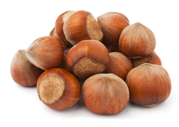 Hazelnuts pile — Stock Photo, Image