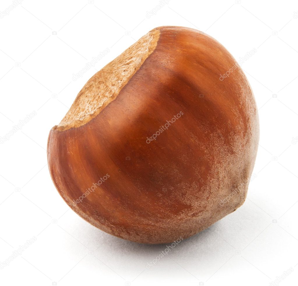 Bergamont single