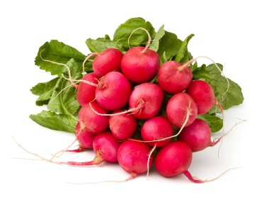 Radish claster clipart