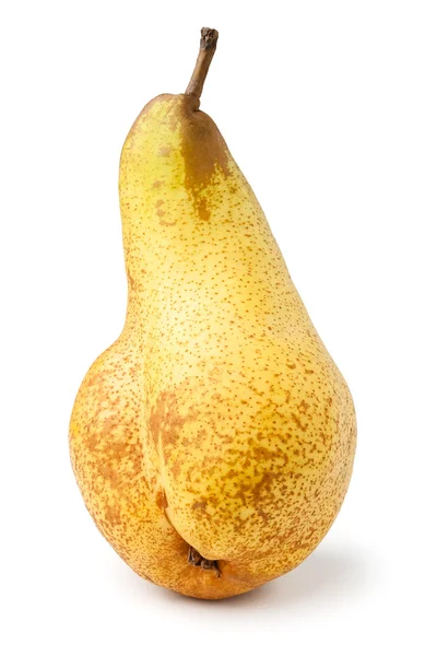 Enda päron — Stockfoto