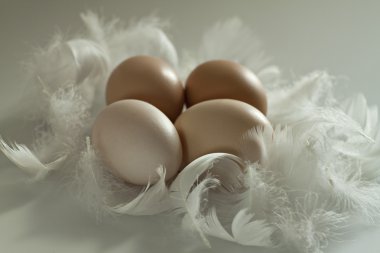 kahverengi yumurta Paskalya için.